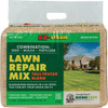 EZ Straw 11 Lb. 200 Sq. Ft. Coverage Sun & Shade Organic Lawn Repair Mix MLEZLRM11SUNSHD40 763913