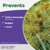Bonide Sedge Ender 16 Oz. Concentrate Weed Killer 069 700195
