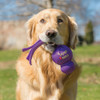 Kong Wubba Tug Large Squeaky Dog Toy KO-WB1 812544