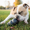 Kong Extreme Chew Large Dog Toy KO-K1 812491