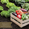 Preen 5 Lb. Ready To Use Granules Natural Vegetable Garden Weed Preventer 2464153 739962
