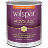 Accolade Int S/G Clear Bs Paint 028.0013004.005