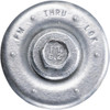 ThruLok 6-1-4 In. Galvanized Screw Bolt (24-Count) FMTHR614-24 242534