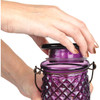 Perky-Pet Diamond Wine 24 Oz. Glass Top-Fill Hummingbird Feeder 9102-2 810030