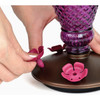 Perky-Pet Diamond Wine 24 Oz. Glass Top-Fill Hummingbird Feeder 9102-2 810030