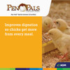 ADM Pen Pals 5 Lb. Chicken Starter-Grower Chicken Feed 70009AAABD 755848