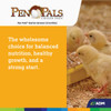 ADM Pen Pals 5 Lb. Chicken Starter-Grower Chicken Feed 70009AAABD 755848