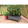 City Pickers 24"x20" Poly Grow Box 2346D 733639