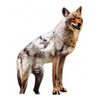 Bird-X Coyote Decoy,24.8 in H,Brown/White COYOTE