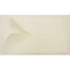 Badger Tag & Label Warning Label,3.5x5in,Polyester Lam,PK5 111