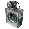 Dayton Blower,Duct,15-1-16 In,Less Drive Pkg 5ZCP4