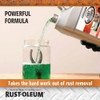 Rust-Oleum Automotive Rust Dissolver, 1 Gal 286746