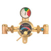 Leonard Valve Emergency Mixing Valve,Bronze,1 in.NPT TM-800-LF