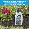 Ortho GroundClear 32 Oz. Super Concentrate Weed & Grass Killer 4651005 727281