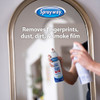 Sprayway 19 Oz. Aerosol Spray Glass & Surface Cleaner 1000000070 603945