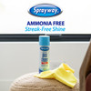 Sprayway 19 Oz. Aerosol Spray Glass & Surface Cleaner 1000000070 603945