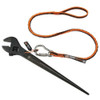 Ergodyne Tool Lanyard, 19803 3101F(x)