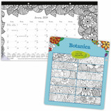 Blueline DoodlePlan Calendar C2917001