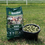 Standlee Premium Western Forage 40 Lb. Premium Alfalfa Cubes 1180-40101-0-0 713792