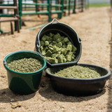 Standlee Premium Western Forage 40 Lb. Premium Alfalfa Cubes 1180-40101-0-0 713792