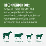 Standlee Premium Western Forage
