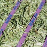 Standlee Premium Western Forage 50 Lb. Premium Alfalfa Grab & Go Compressed Bale 1100-20021-0-0 763635