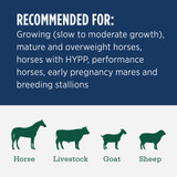 Standlee Premium Western Forage