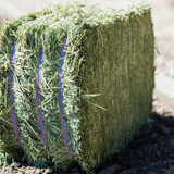 Standlee Premium Western Forage 50 Lb. Premium Timothy Grab & Go Compressed Bale 1200-20021-0-0 767824
