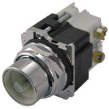 Eaton Extended Push Button, Incandescent, 30mm 10250T471