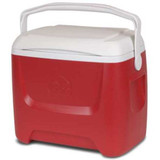 Igloo Chest Cooler,28.0 qt. Cap.,18" L  00050051