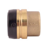 Sharkbite End Stop,Brass UXL0441