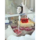 Ansell Disposable Gloves,Polyiso,7-1-2,PK200 83-500