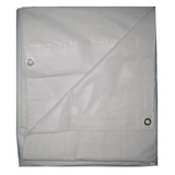 Sim Supply Tarp,Flame Resistant,Polyeth,10x20Ft  5WTN1