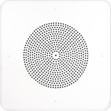Speco Technologies In-Ceiling Speaker,12 in.L x 12 in.W G86TG1X1