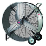 Dayton Crrsion Rsstnt Indstrl Fan,48" Blde Dia. 6ALE4