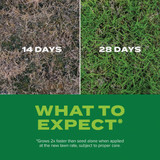 Scotts Turf Builder Rapid Grass 8 Lb. Bermudagrass Seed & Fertilizer Combination 18360 756559