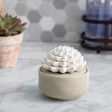 Candle Warmers Airome Porcelain Essential Oil Diffuser - Succulent