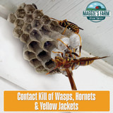 Maggie's Farm 14 Oz. Foaming Aerosol Spray Wasp & Hornet Killer