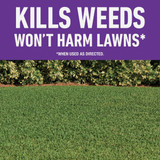 Roundup For Lawns 1 Gal. Wand Sprayer Southern Formula Weed Killer