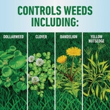 Roundup For Lawns 1 Gal. Wand Sprayer Southern Formula Weed Killer 5012506 704940