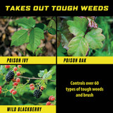 Ortho GroundClear 32 Oz. Concentrate Poison Ivy & Tough Brush Killer