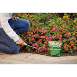 Scotts 3 Lb. All Purpose Flower & Vegetable Continuous Release Plant Food