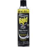 Raid 17.5 Oz. Liquid Aerosol Spray Wasp & Hornet Killer 51367
