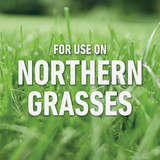 Roundup For Lawns 32 Oz. Northern Formula Weed Killer 5020410 704894