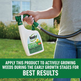 Roundup For Lawns 32 Oz. Northern Formula Weed Killer 5020410 704894