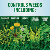 Roundup For Lawns 1 Gal. Wand Sprayer Northern Formula Weed Killer 5020710 704906