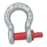 Crosby Anchor Shackle,27,000 lb,Carbon Steel 1018598