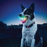 Nite Ize Glow Streak Color Changing LED Ball Dog Toy GSB-07-R7 756640