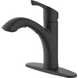 Home Impressions 1-Handle Pull-Out Kitchen Faucet, Matte Black Finish