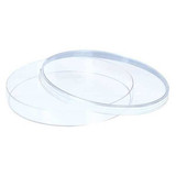 Dynalon Petri Dish,92 x 16 mm,PK480  402024-0000